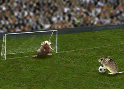 Penalty Animals Sport Animated Gif Pictures For Facebook, Whatsapp, Instagram And Twitter Animated Gif Images GIFs Center